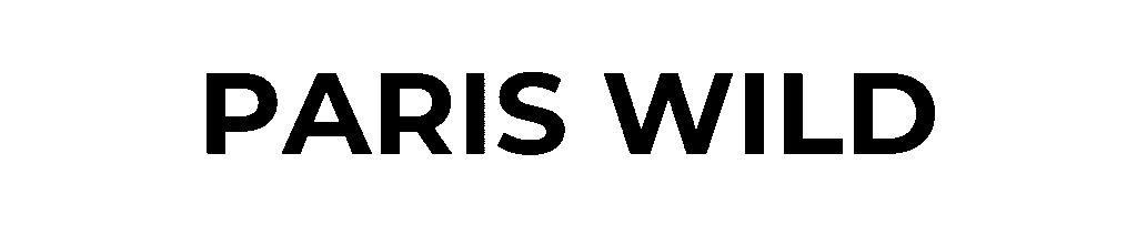 “Logo d’un média de mode contemporain proposant des sélections de vêtements et looks féminins, alliant marques accessibles et luxe, avec une vision inclusive du style et du corps. Plateforme éditoriale dédiée à la mode, à l’expression personnelle et à la confiance en soi à travers le vêtement.